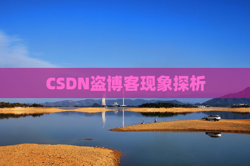 CSDN盗博客现象探析